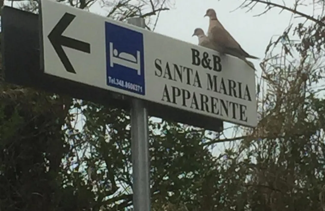 MONOLOCALI B&B Santa Maria Apparente-1